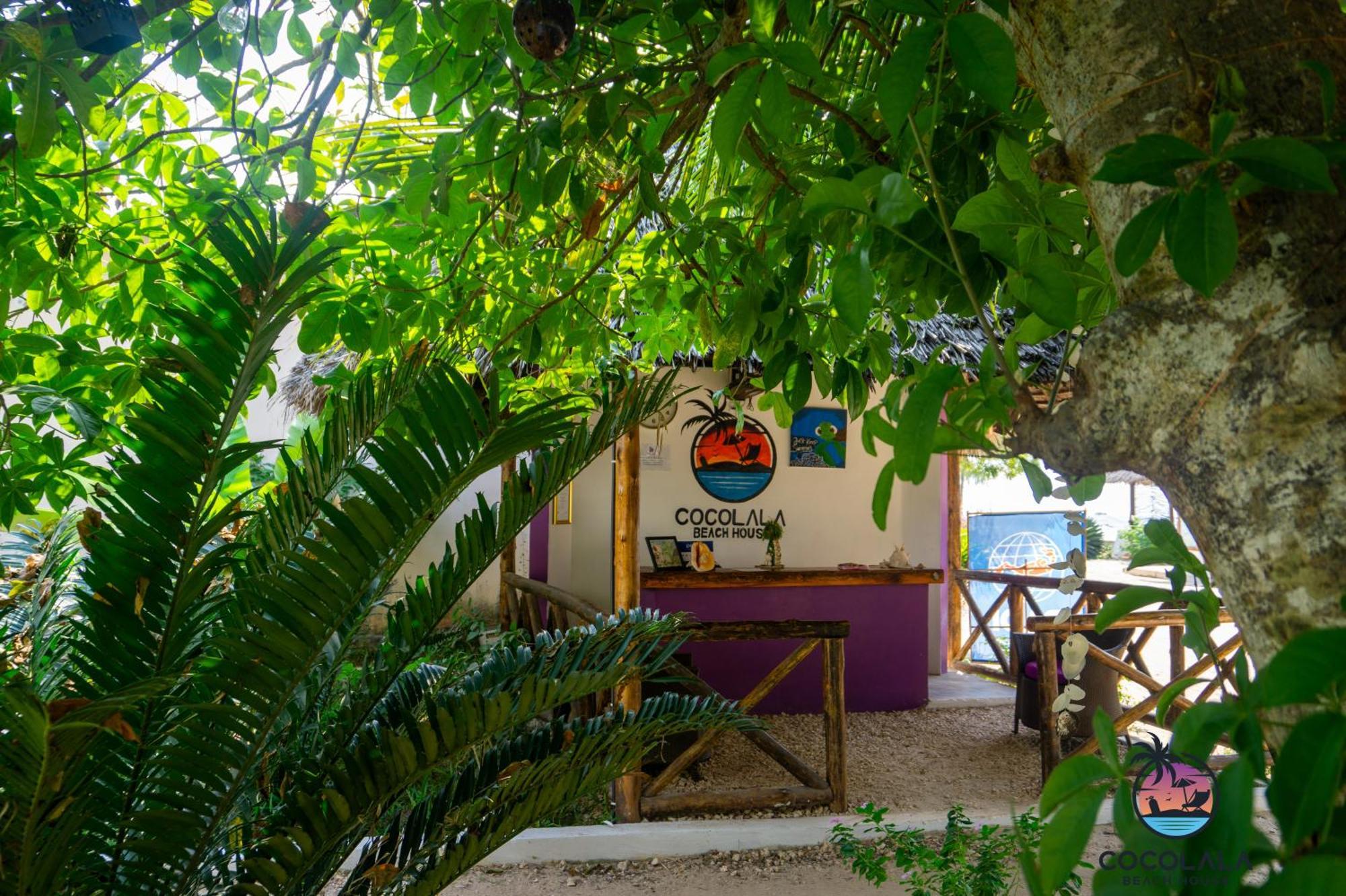 Cocolala Beach House Nungwi Exterior foto